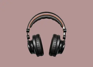 Sony Wireless Headphones